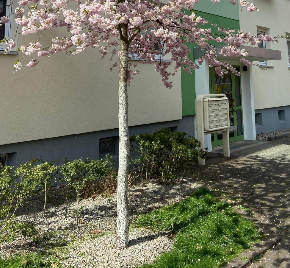 Schoene Kleine Wohnung Cottbus Extérieur photo